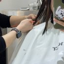 민주헤어센스