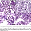 점상농장 이미지
