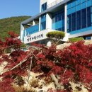 철원군병영체험수련원 Daum카페