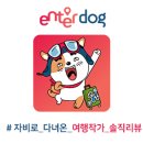 개가사는그집 이미지