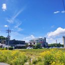 일미장어마을 이미지