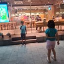 숭례문 광학 이미지