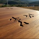 <흙 속의 숨결> 이미지