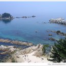 황금소나무집 이미지