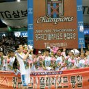 삼보