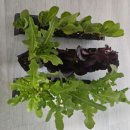 서민정형외과의원 이미지