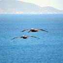 Sweet spot 이미지