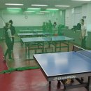 탁구어때