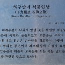 충주 하구암리 석조여래입상 이미지