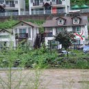 평창강펜션 이미지