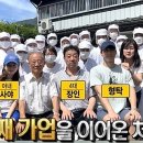 부부애국수
