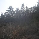 강남동로7 이미지