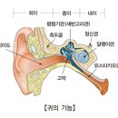 포낙보청기 진주 이미지
