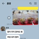 (나는지금 )뉴저지딸친한지인이 다음주에 생일이라고 해서~ 이미지