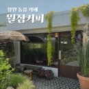 창원 주남돌다리 | 창원 동읍 카페 월잠커피 후 주남저수지 자전거 대여까지 완벽했던 주말