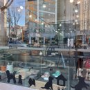 뚜뚜하니 이미지