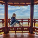 아차도민박 | 보름만에 나온다는 볼음도를 당일치기로! 여행정보 총정리