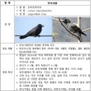 둥지 - 계룡시 엄사중앙로 102 | 둥지