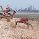 벌천포 해수욕장 이미지