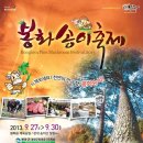 봉화송이축제 네이버블로그