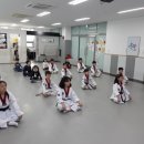 풍무태권도 네이버블로그