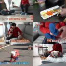 다솜이농장 스타데일리뉴스 