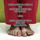세아용인대태권도장 | 남양주 호평동 태권도｜2026 경기도 종별 태권도 대회 후기 (유지경성 태권도)