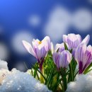 스마일 태권도 이미지