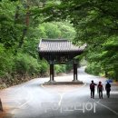 산청휴 이미지