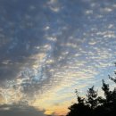 명곡한의원 이미지