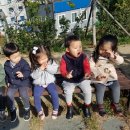 웰빙로 이미지