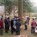 국립산림과학원 산림유전자원부 이미지