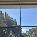 달콤한 오후 이미지