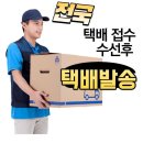 장미 수선 이미지