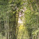 펀한노리터 이미지