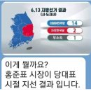 홍준표 당대표시절 지방선거 결과... 이미지