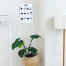 Happy 멀티방 | 대구중구파티룸 [파티룸 틈] TEUM 대구 파티룸 추천! 생일 파티와 각종 모임에 맞춤인 공간