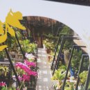 조은꽃식물원 이미지