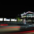 글렌체크&전기뱀장어 콘서트 이미지