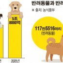 플러스동물의료센터 이미지
