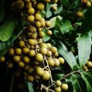 건용에너지 이미지