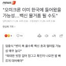 "오미크론 이미 한국에 들어왔을 가능성…백신 물거품 될 수도" 이미지