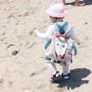 아기가방 - 데글링고스 아기백팩 , 패션포인트로 딱 좋은 강아지 노노스!