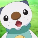 수댕이네 이미지