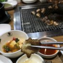 대머리장어 이미지