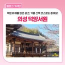 서원 | 경상북도 의성 문화유산 '덕양서원', 조선후기 서원 다녀왔어요~