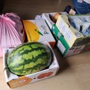 수림건설기술공사주 | 광주점집 수림정사 남편의 잦은 사고 걱정되는 마음에 점 봤어요.