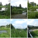 경안산소 이미지