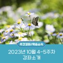 📢2023년 10월 4-5주차 대구평생교육진흥원 강좌 소개 이미지