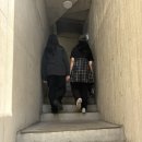 2022-주177 | 이태원 브런치카페 "리카바이파프리카"